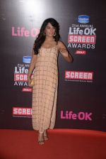Richa Chadda at Life Ok Screen Awards red carpet in Mumbai on 14th Jan 2015